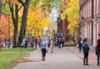 初中毕业的学生怎么选A-level、AP和IB课程？