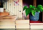 alevel留学资讯：英国大学供应链管理与物流管理专业好不好？