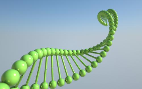 alevel课程高效学习方法生物篇