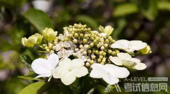 A-Level数学备考：三角函数表的演变史