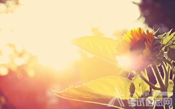 A-Level课程必须要了解的八条经验 A-Level课程必须要了解的八条经验