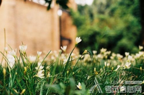 A-Level物理考试高分宝典