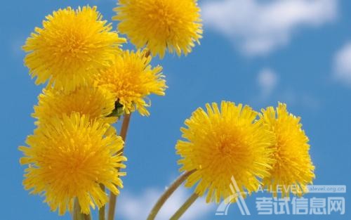 A-level物理考试备考：物理量