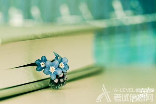 A-Level经济想得高分？六大技巧拿走不谢