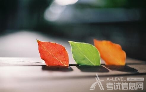 A-level生物考试学习什么内容？