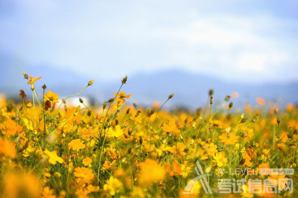 A-level课程包含哪些科目?如何学习? A-level课程包含哪些科目?如何学习?
