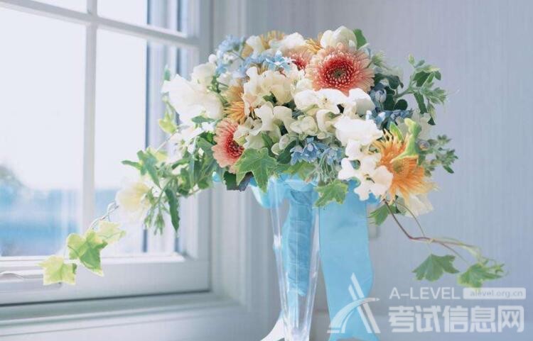 A-Level物理PK高考物理，哪个难？