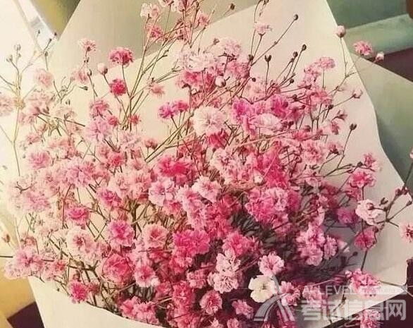 A-level生物进化论习题解析 A-level生物进化论习题解析