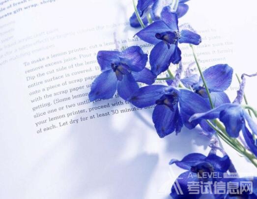 A-level物理考试各单元备考技巧（1）