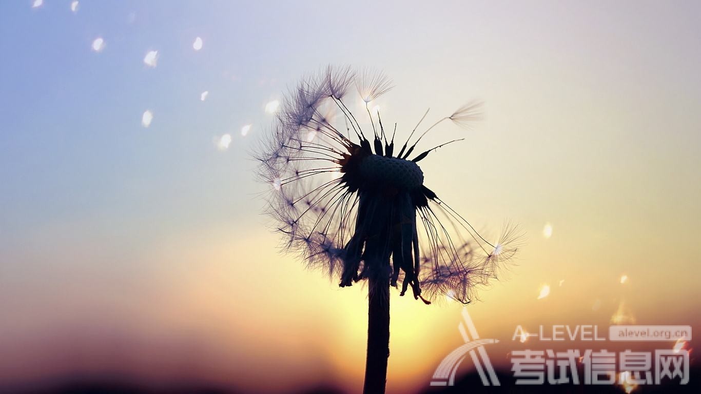 A-Level数学考试技巧:审题快,答题慢 A-Level数学考试技巧:审题快,答题慢