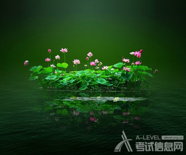 A-Level物理考试选择题练习