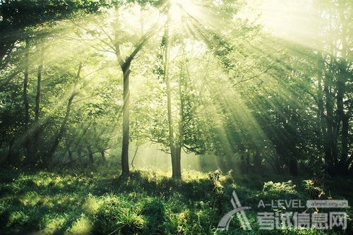 A-Level数学备考：学霸解题的思维流程