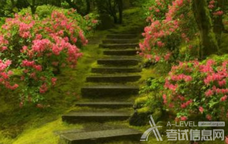 A-Level物理常考点与应试技巧