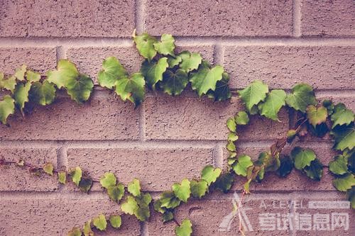 A-Level物理考试备考重要知识点介绍 A-Level物理考试备考重要知识点介绍