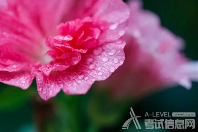 A-Level化学考前复习以细节取胜