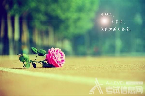 A-Level数学考试备考高分技巧