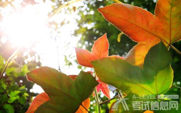 A-Level备考数学集合与简易逻辑易错点总结