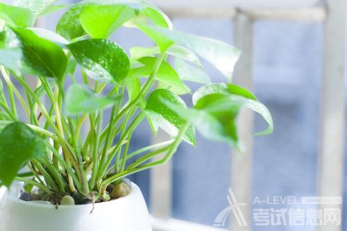 A-Level物理考试实验题的做题技巧