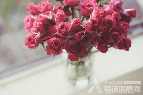 A-Level数学考试必看简单逻辑公式