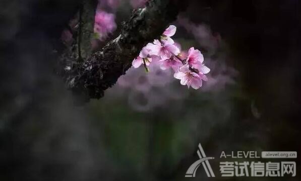 A-Level数学考试三角函数公式汇总