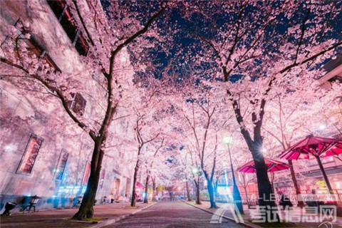 A-Level生物考试备考答疑精选（2）