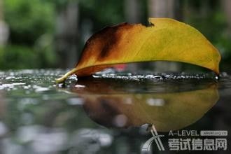 A-Level物理考试复习指导