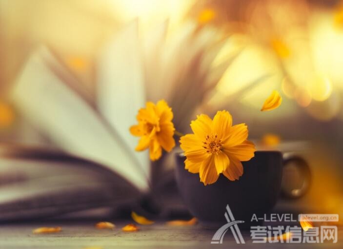 A-Level历史知识点：一战后二战前东西方世界