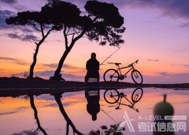 备考A-Level物理考试磁场的专项练习题
