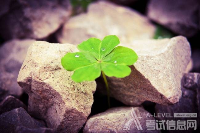 A-Level数学考试八十天备考计划 A-Level数学考试八十天备考计划