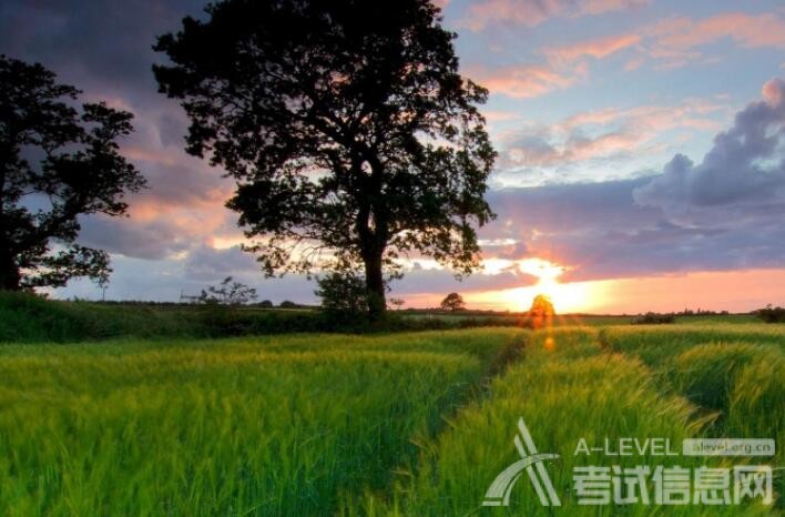 A-Level化学备考指导思想，你看了吗？