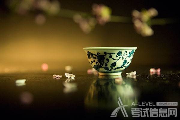 A-Level物理考试复习重点与难点分析