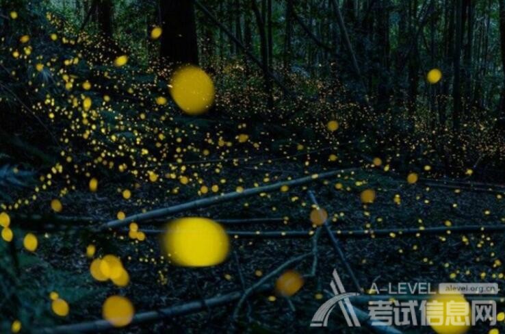 A-Level数学知识点：一次函数的定义与性质