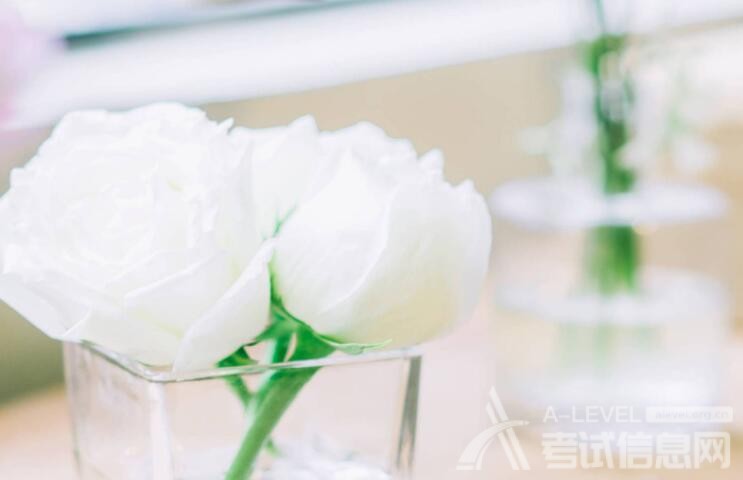 备考A-Level数学考试三角函数解析