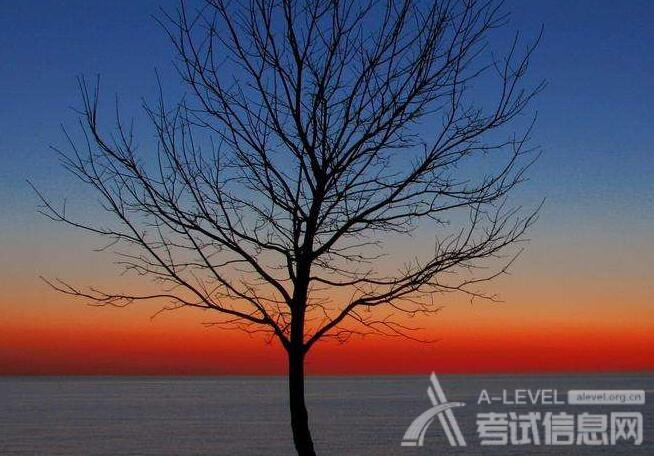 A-Level生物考试备考知识点总结（1）