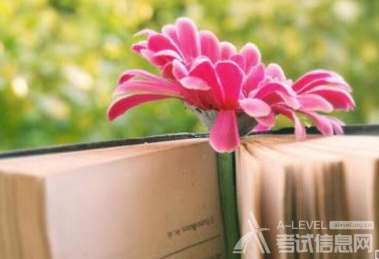 A-Level化学备考：常见物质的成分和生成氢气反应