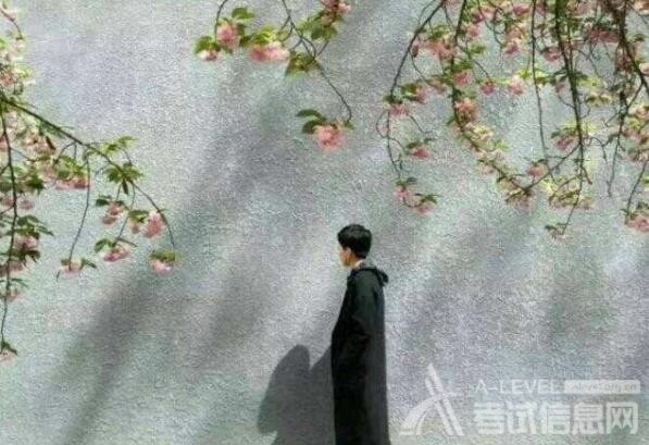 A-Level物理考试如何轻松备考？