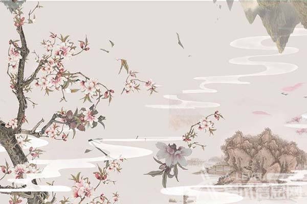 A-Level生物细胞增殖的名词介绍 A-Level生物细胞增殖的名词介绍