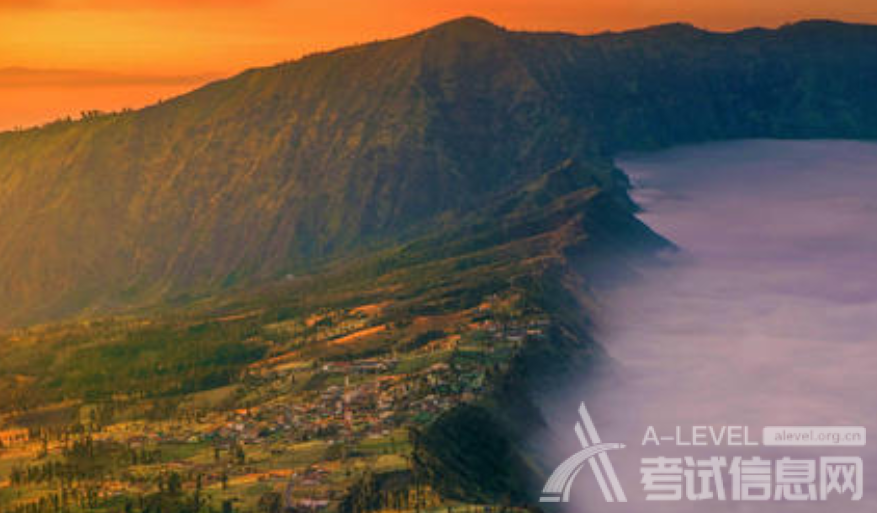 A-Level生物考试知识点：神经调节与行为
