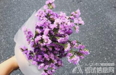 A-level数学考试备考知识点复习
