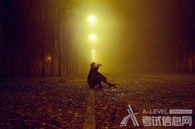 A-level经济考试备考的方法及难易度分析