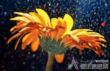 A-level生物考试高频考点分享（上篇）