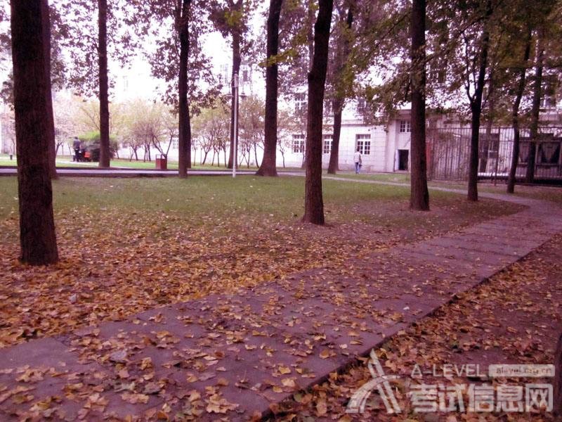 A-level数学考试备考如何抓住基础知识