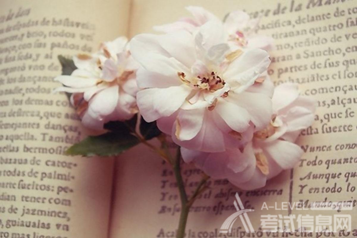 A-level数学考试考场经验介绍（上）