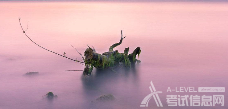 A-level生物备考易错小知识盘点（一）