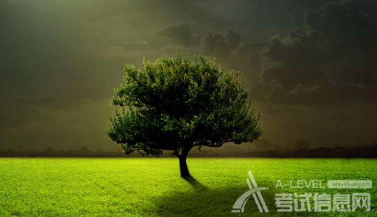 A-Level数学考试基础学习要抓哪些点