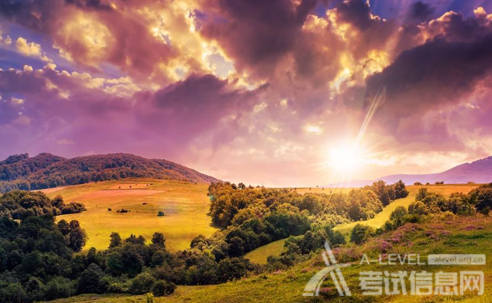 A-level生物考试组成生物体的化合物公式