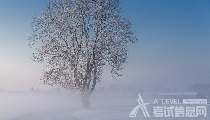 A-Level物理考试备考技巧分享（2）