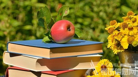 ALevel经济的解题技巧