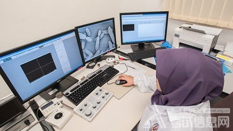 ALevel数学和进阶数学的构成
