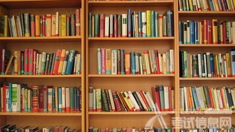 ALevel物理追及问题中的多解问题 ALevel物理追及问题中的多解问题